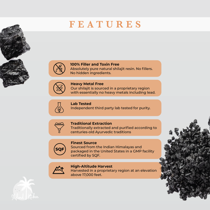 Organic Shilajit 30g Live Pitch Resin